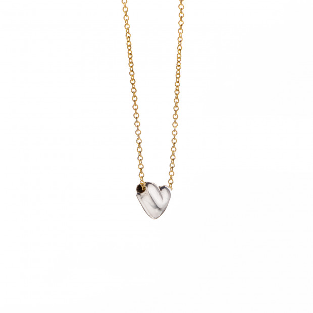 Corazón lleno de Amor